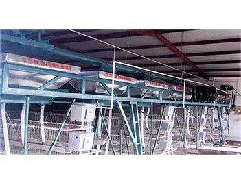 蛋、種雞自動(dòng)給料機(jī)